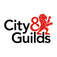City & Guilds qualified electrician